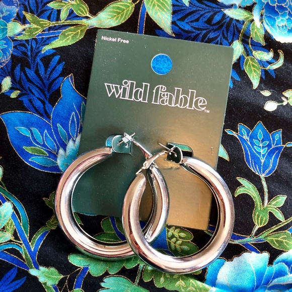 wild fable Jewelry - Wild Fable Large Silver Hoop Earrings